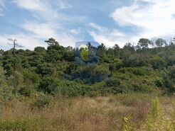 Terreno R�stico T0 - Roli�a, Bombarral, Leiria - Miniatura: 4/7