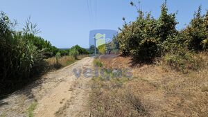 Terreno R�stico T0 - Gaeiras, �bidos, Leiria - Miniatura: 4/26