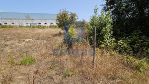 Terreno R�stico T0 - Gaeiras, �bidos, Leiria - Miniatura: 11/26