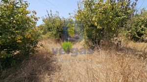 Terreno R�stico T0 - Gaeiras, �bidos, Leiria - Miniatura: 15/26