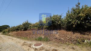 Terreno R�stico T0 - Gaeiras, �bidos, Leiria - Miniatura: 17/26