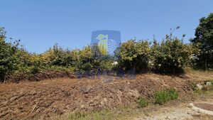 Terreno R�stico T0 - Gaeiras, �bidos, Leiria - Miniatura: 19/26