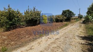 Terreno R�stico T0 - Gaeiras, �bidos, Leiria - Miniatura: 21/26