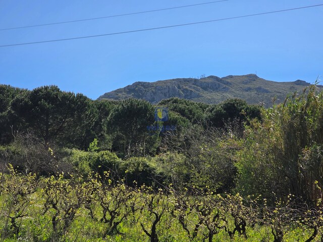 Terreno Urbano T0 - Lamas, Cadaval, Lisboa - Imagem grande
