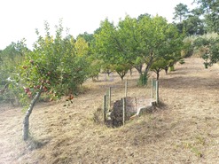 Terreno Rstico T0 - Salir de Matos, Caldas da Rainha, Leiria