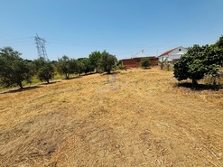 Terreno Rstico T0 - Alcoentre, Azambuja, Lisboa