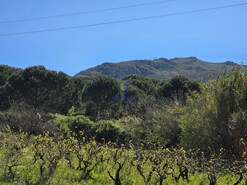 Terreno Urbano T0 - Lamas, Cadaval, Lisboa