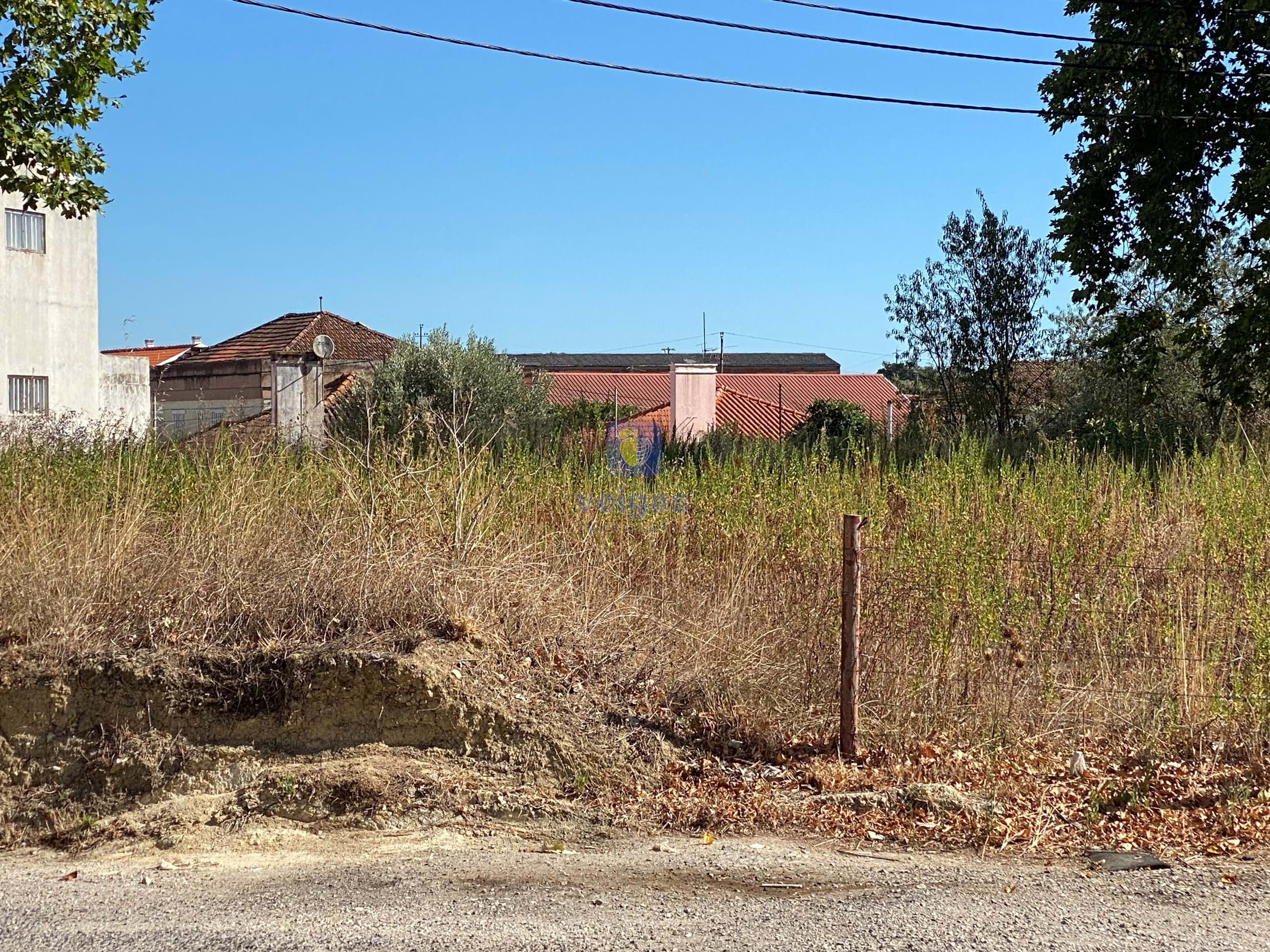 Terreno R�stico T0 - Alcanena, Alcanena, Santar�m