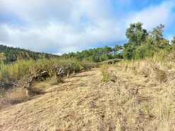 Terreno Rstico T0 - Salir de Matos, Caldas da Rainha, Leiria - Miniatura: 6/18