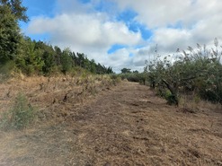 Terreno Rstico T0 - Salir de Matos, Caldas da Rainha, Leiria - Miniatura: 15/18