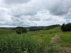 Terreno Rstico T0 - Caldas da Rainha, Caldas da Rainha, Leiria - Miniatura: 8/21