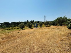 Terreno Rstico T0 - Alcoentre, Azambuja, Lisboa - Miniatura: 1/5
