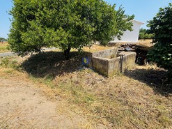 Terreno Rstico T0 - Alcoentre, Azambuja, Lisboa - Miniatura: 3/5