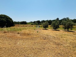 Terreno Rstico T0 - Alcoentre, Azambuja, Lisboa - Miniatura: 5/5