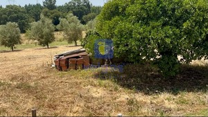 Terreno Rstico T0 - Alcoentre, Azambuja, Lisboa - Miniatura: 7/12