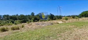 Terreno Rstico T0 - Alcoentre, Azambuja, Lisboa - Miniatura: 10/12