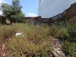 Terreno Rstico T0 - Salir de Matos, Caldas da Rainha, Leiria - Miniatura: 16/33