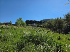 Terreno Urbano T0 - Lamas, Cadaval, Lisboa - Miniatura: 1/5