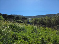 Terreno Urbano T0 - Lamas, Cadaval, Lisboa - Miniatura: 2/5