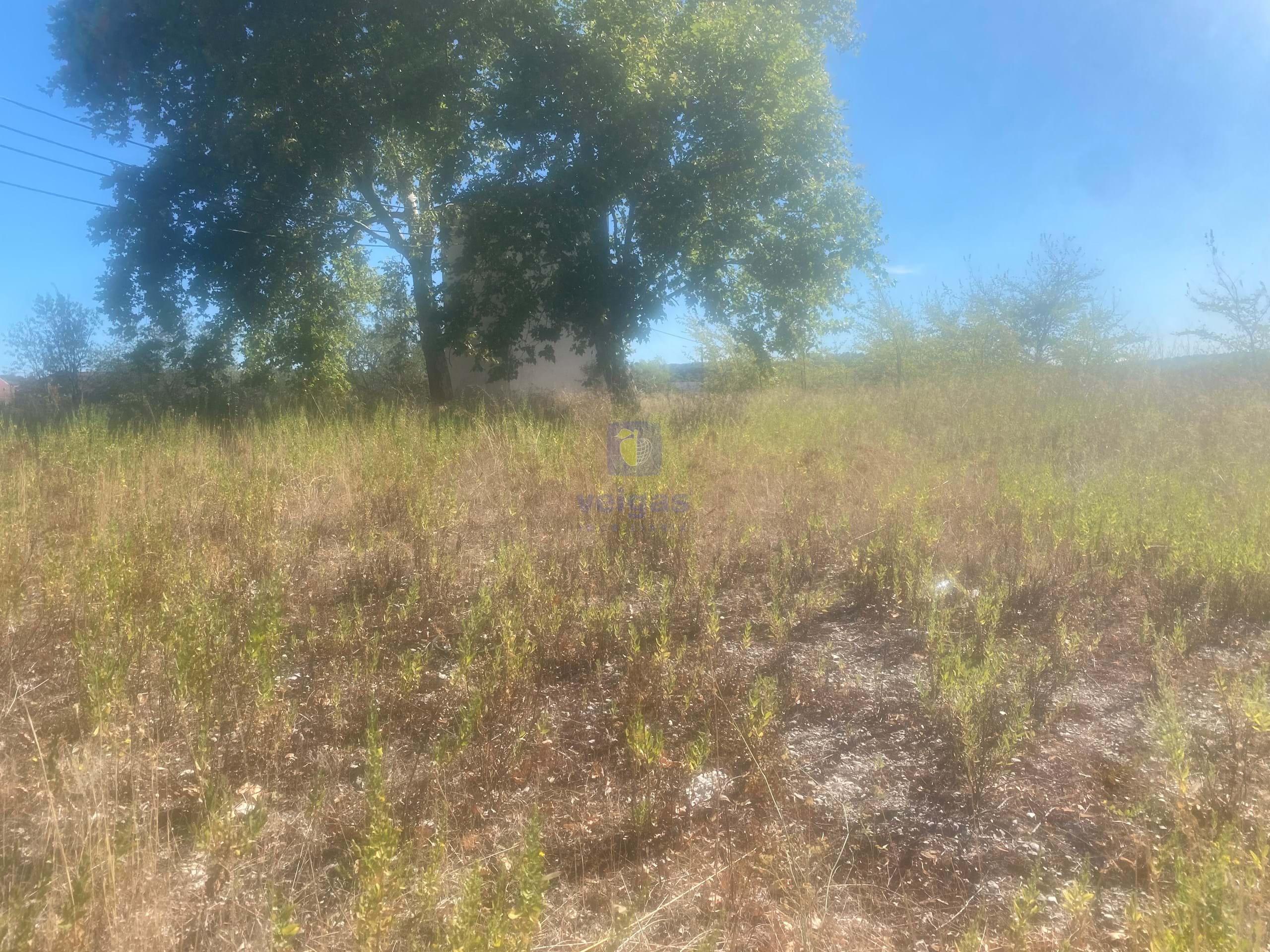 Terreno R�stico T0 - Alcanena, Alcanena, Santar�m - Miniatura: 3/26