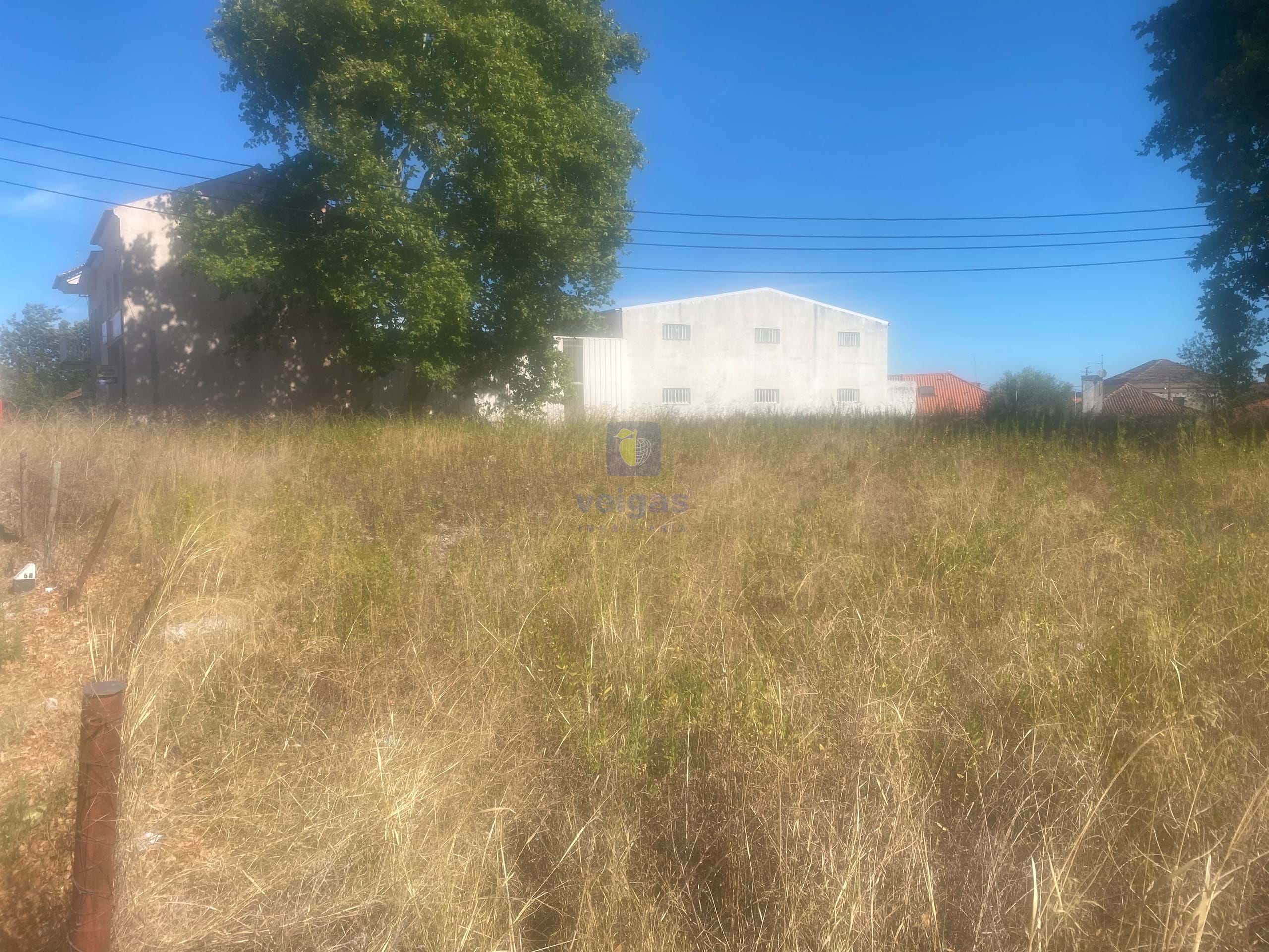 Terreno R�stico T0 - Alcanena, Alcanena, Santar�m - Miniatura: 4/26