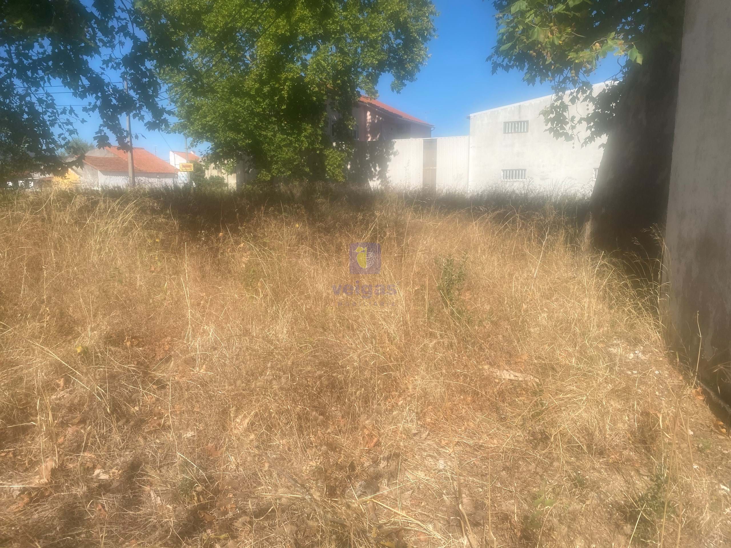 Terreno R�stico T0 - Alcanena, Alcanena, Santar�m - Miniatura: 15/26