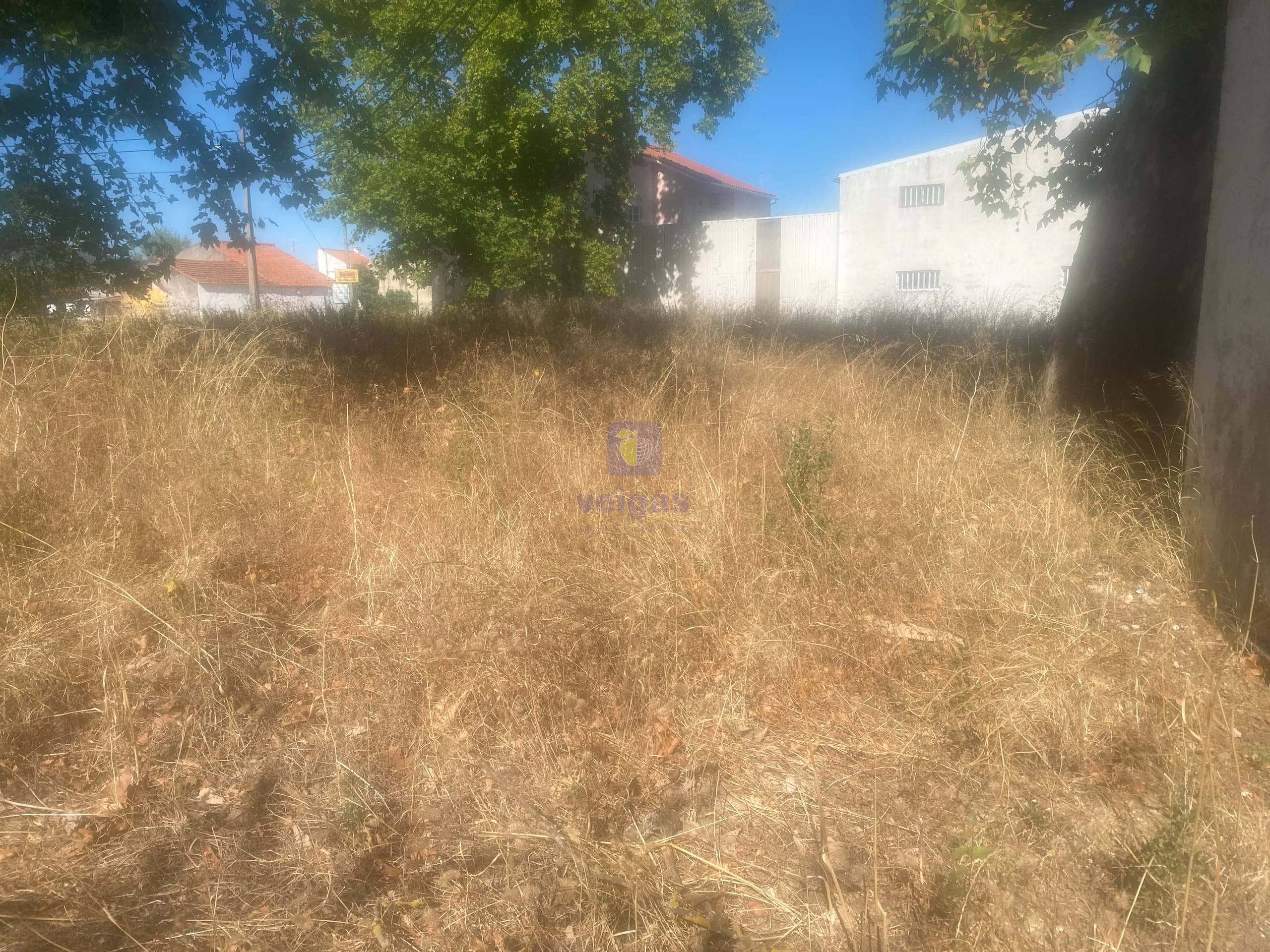 Terreno R�stico T0 - Alcanena, Alcanena, Santar�m - Miniatura: 16/26