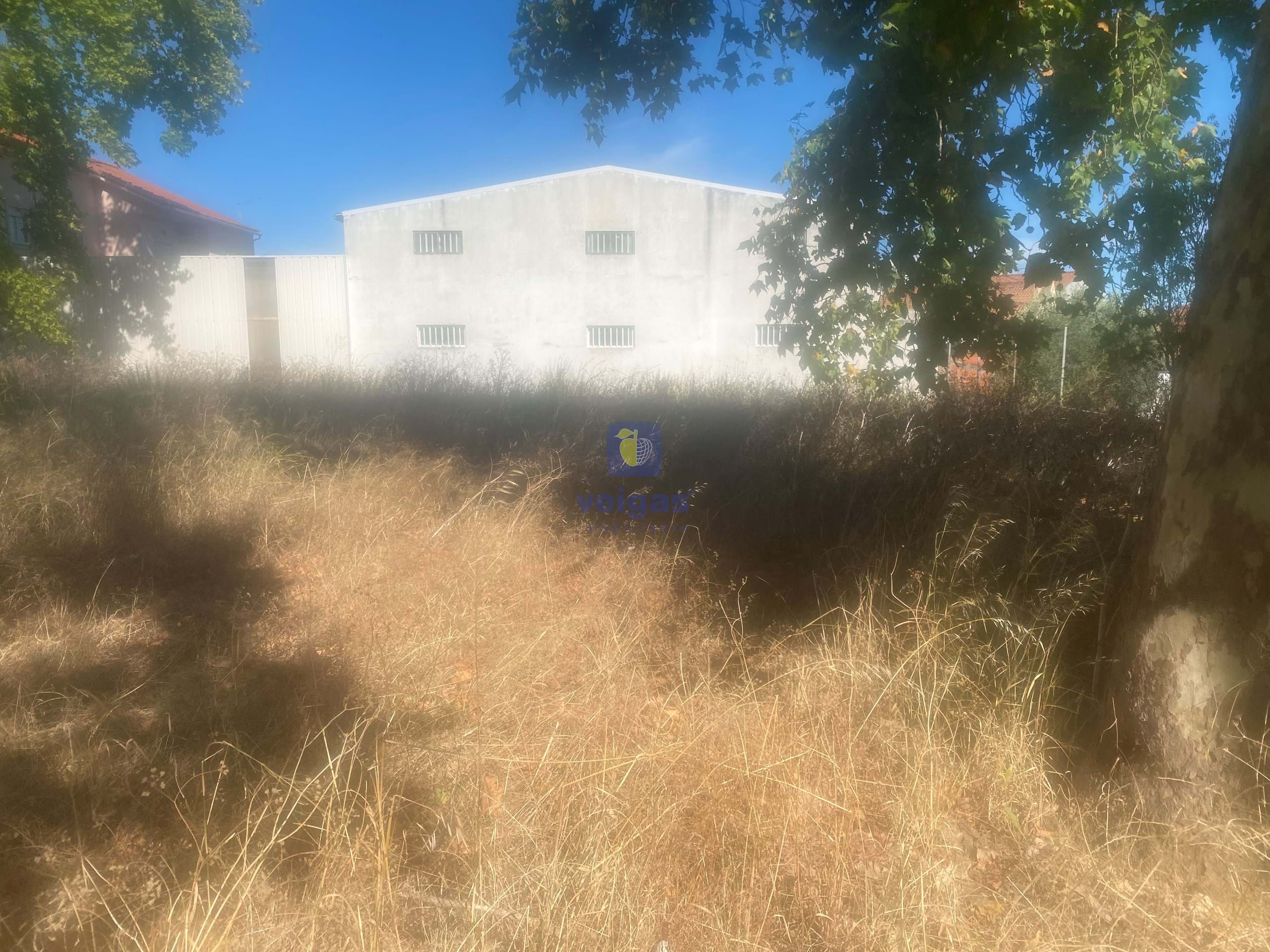 Terreno R�stico T0 - Alcanena, Alcanena, Santar�m - Miniatura: 20/26
