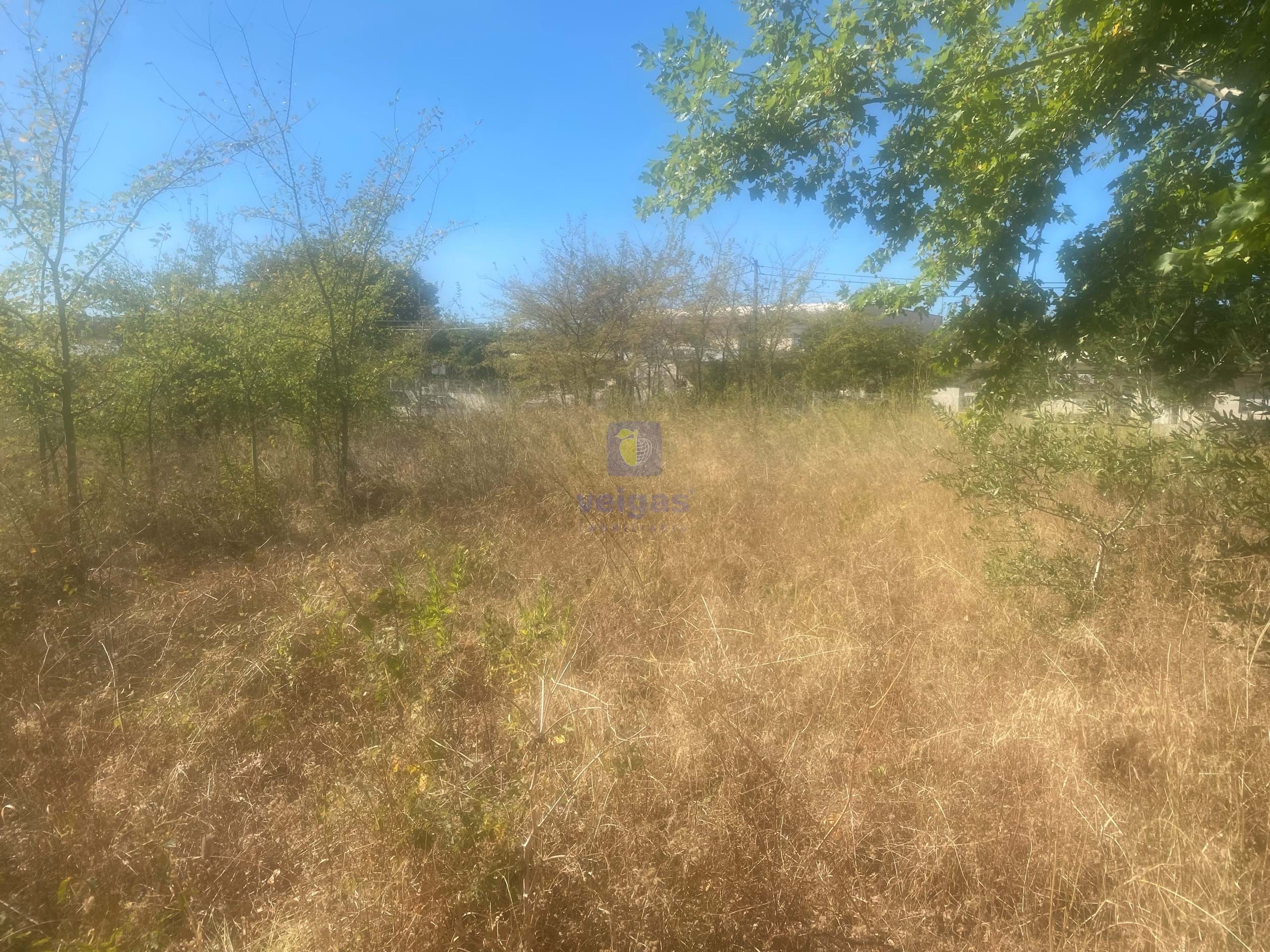 Terreno R�stico T0 - Alcanena, Alcanena, Santar�m - Miniatura: 21/26