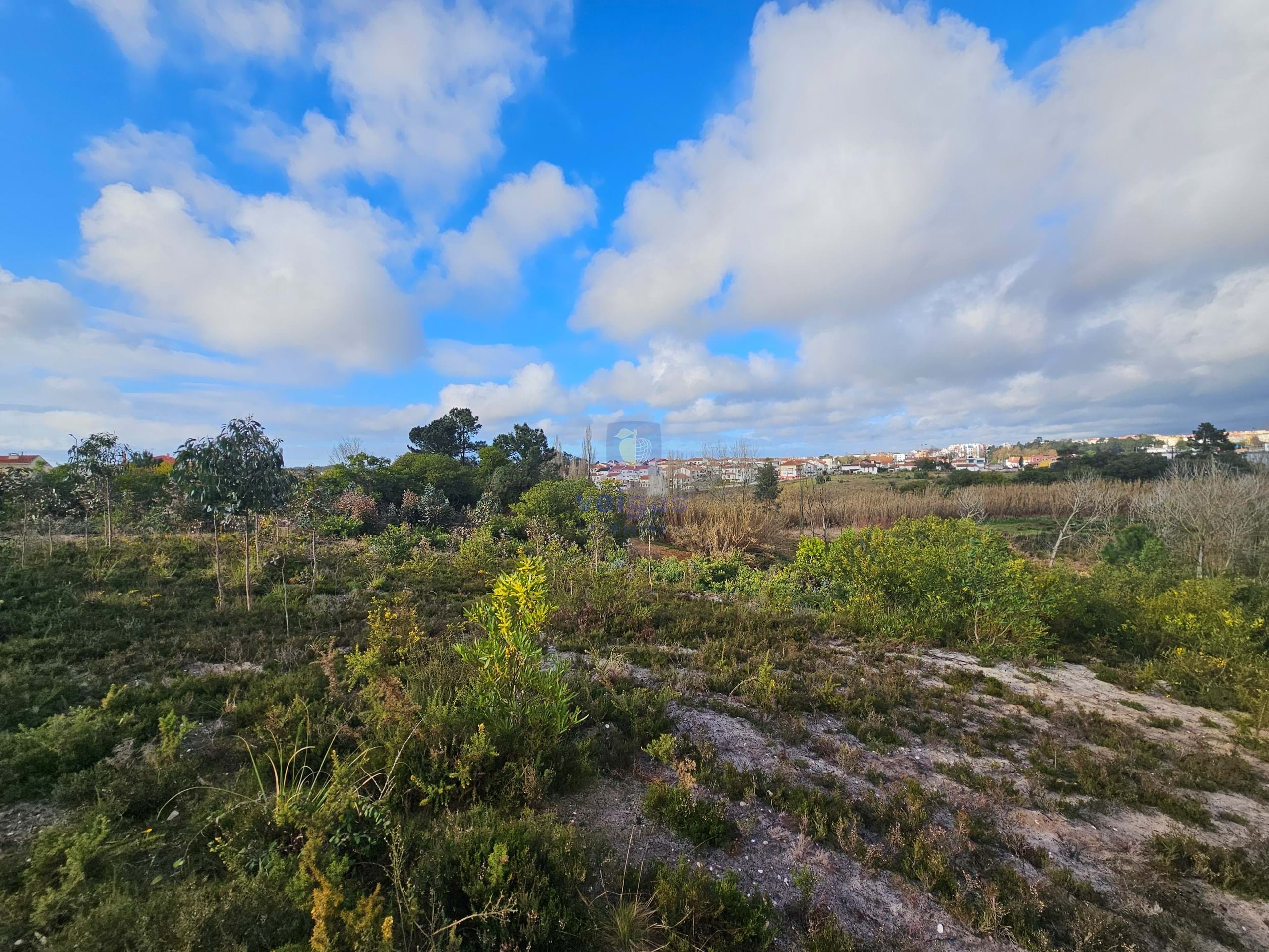 Terreno R�stico T0 - Santo Onofre, Caldas da Rainha, Leiria - Imagem grande