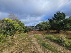 Terreno Rstico T0 - Santo Onofre, Caldas da Rainha, Leiria