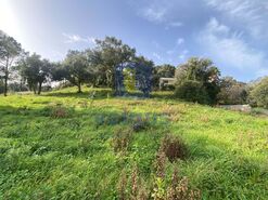 Terreno R�stico T0 - Salir de Matos, Caldas da Rainha, Leiria