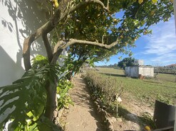 Moradia T3 - P�voa da Isenta, Santar�m, Santar�m - Miniatura: 9/43