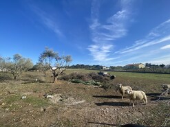 Moradia T3 - P�voa da Isenta, Santar�m, Santar�m - Miniatura: 10/43