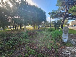 Terreno Rstico T0 - Nadadouro, Caldas da Rainha, Leiria - Miniatura: 1/5