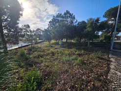 Terreno Rstico T0 - Nadadouro, Caldas da Rainha, Leiria - Miniatura: 5/5