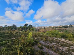 Terreno Rstico T0 - Santo Onofre, Caldas da Rainha, Leiria - Miniatura: 8/11