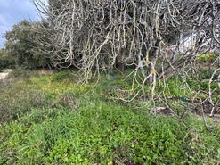 Terreno Rstico T0 - Rio Maior, Rio Maior, Santarm - Miniatura: 6/10