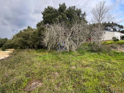 Terreno Rstico T0 - Rio Maior, Rio Maior, Santarm - Miniatura: 8/10