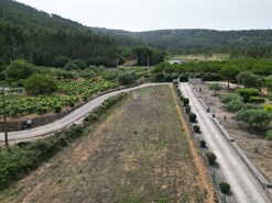 Terreno Rstico T0 - Lamas, Cadaval, Lisboa - Miniatura: 3/15