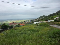 Terreno Rstico T0 - Lamas, Cadaval, Lisboa - Miniatura: 5/15
