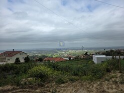 Terreno Rstico T0 - Lamas, Cadaval, Lisboa - Miniatura: 6/15