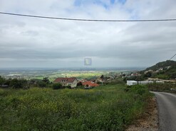 Terreno Rstico T0 - Lamas, Cadaval, Lisboa - Miniatura: 9/15