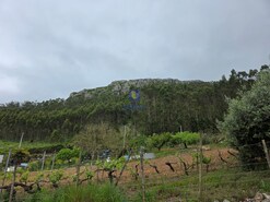 Terreno Rstico T0 - Lamas, Cadaval, Lisboa - Miniatura: 10/15