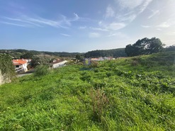 Terreno Rstico T0 - Salir de Matos, Caldas da Rainha, Leiria - Miniatura: 6/22