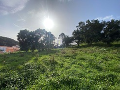 Terreno Rstico T0 - Salir de Matos, Caldas da Rainha, Leiria - Miniatura: 12/22