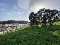 Terreno Rstico T0 - Salir de Matos, Caldas da Rainha, Leiria - Miniatura: 16/22