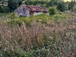 Moradia T1 - A dos Negros, �bidos, Leiria - Miniatura: 2/5