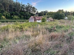 Moradia T1 - A dos Negros, �bidos, Leiria - Miniatura: 3/5