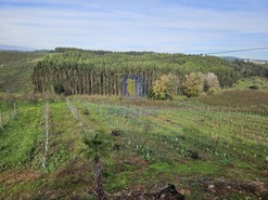 Moradia - Landal, Caldas da Rainha, Leiria - Miniatura: 6/34